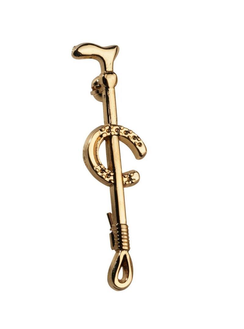 Alfiler de corbata Equithème Dorado - Equitheme