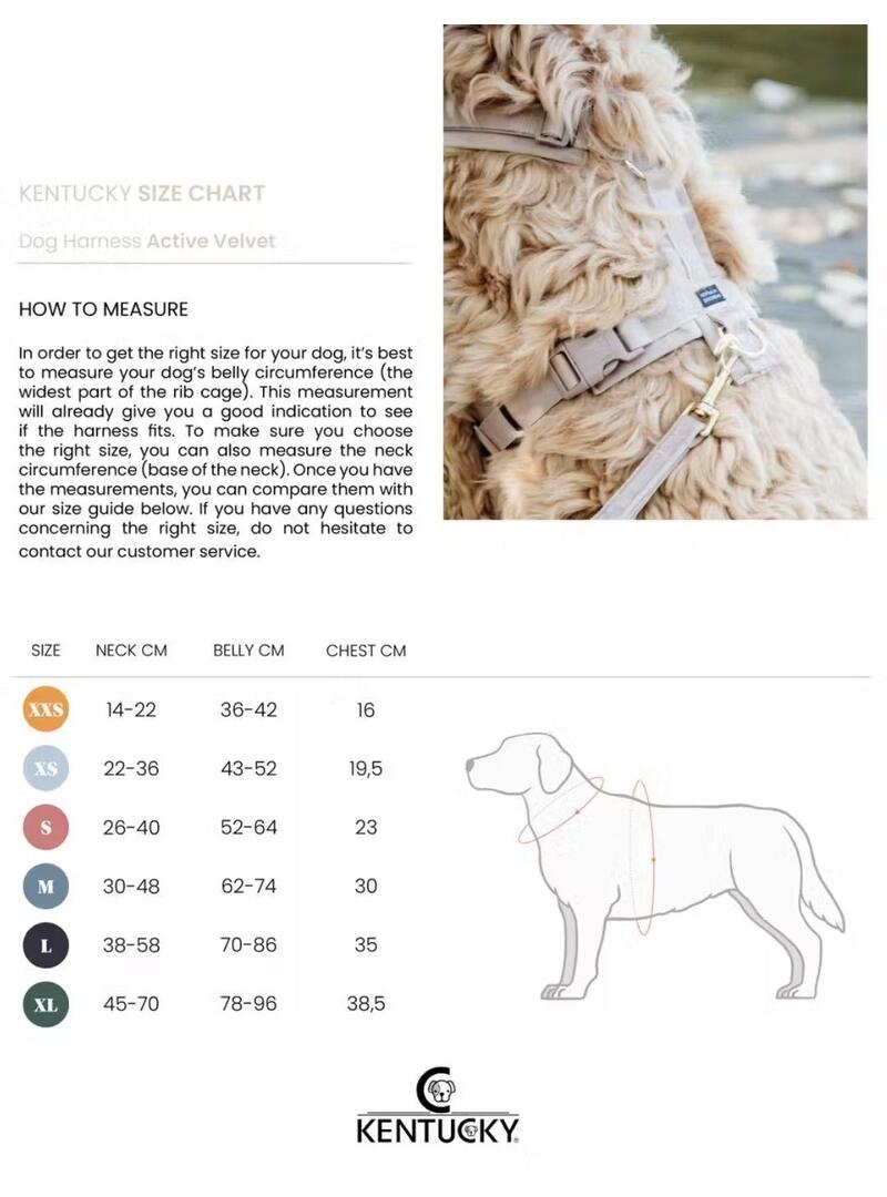 Arnés para Perro Active Teddy Fleec Kentucky Negro - Kentucky (4)