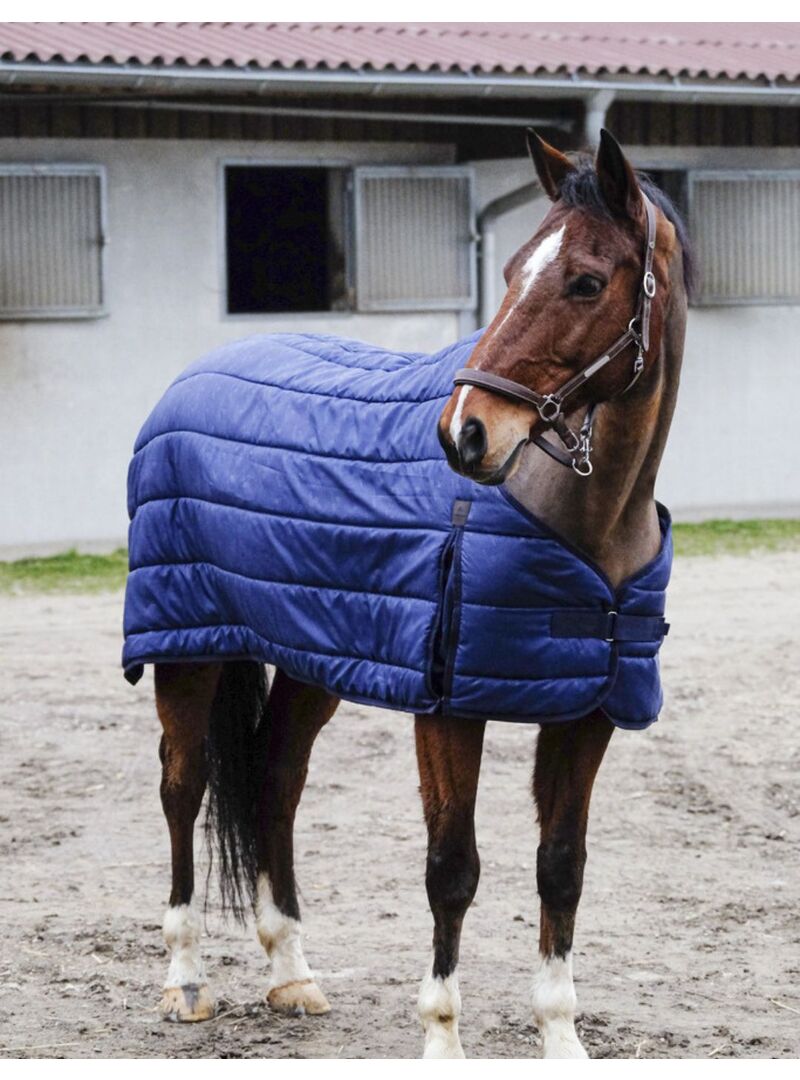 Bajomanta Equithème "Classic" Marino 200 gr - Equitheme