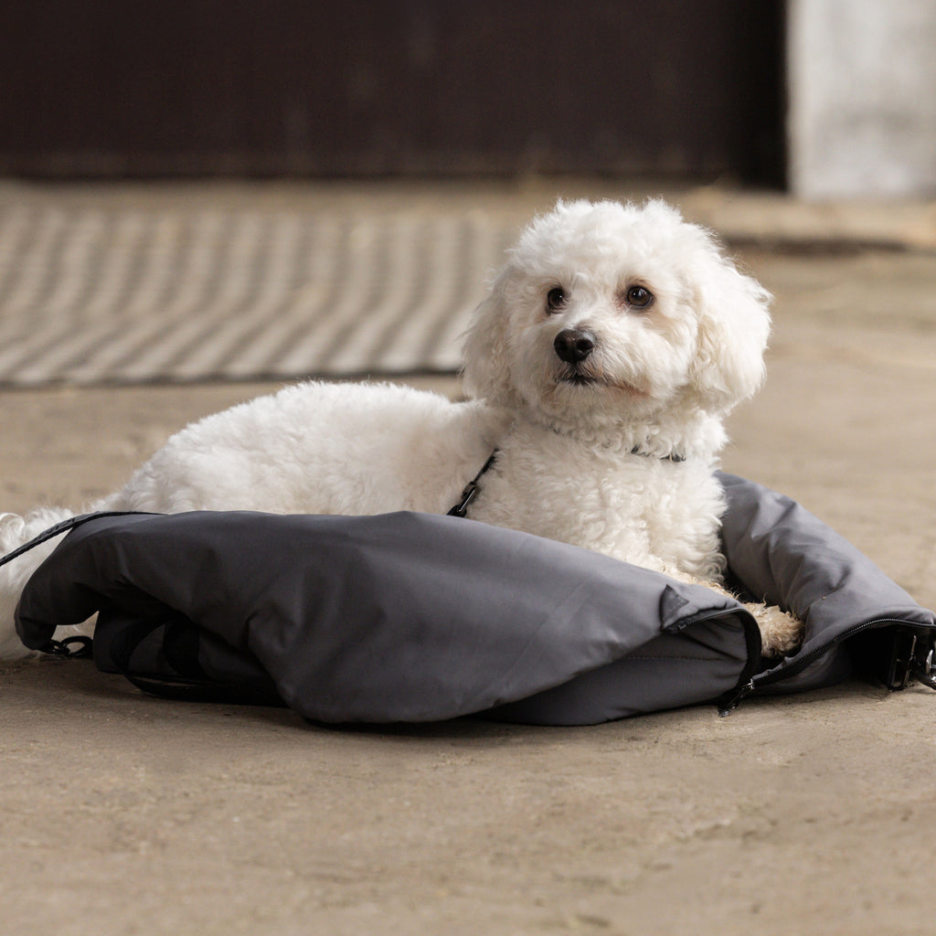 Bolsa manta para perros Kingsland Macey - Kingsland (5)