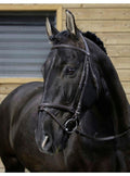 Cabeza RIDING WORLD'Muserolle Combinée' Negro - Riding World