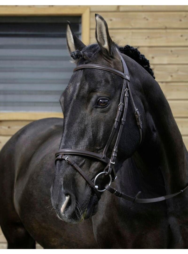 Cabeza RIDING WORLD'Muserolle Combinée' Negro - Riding World
