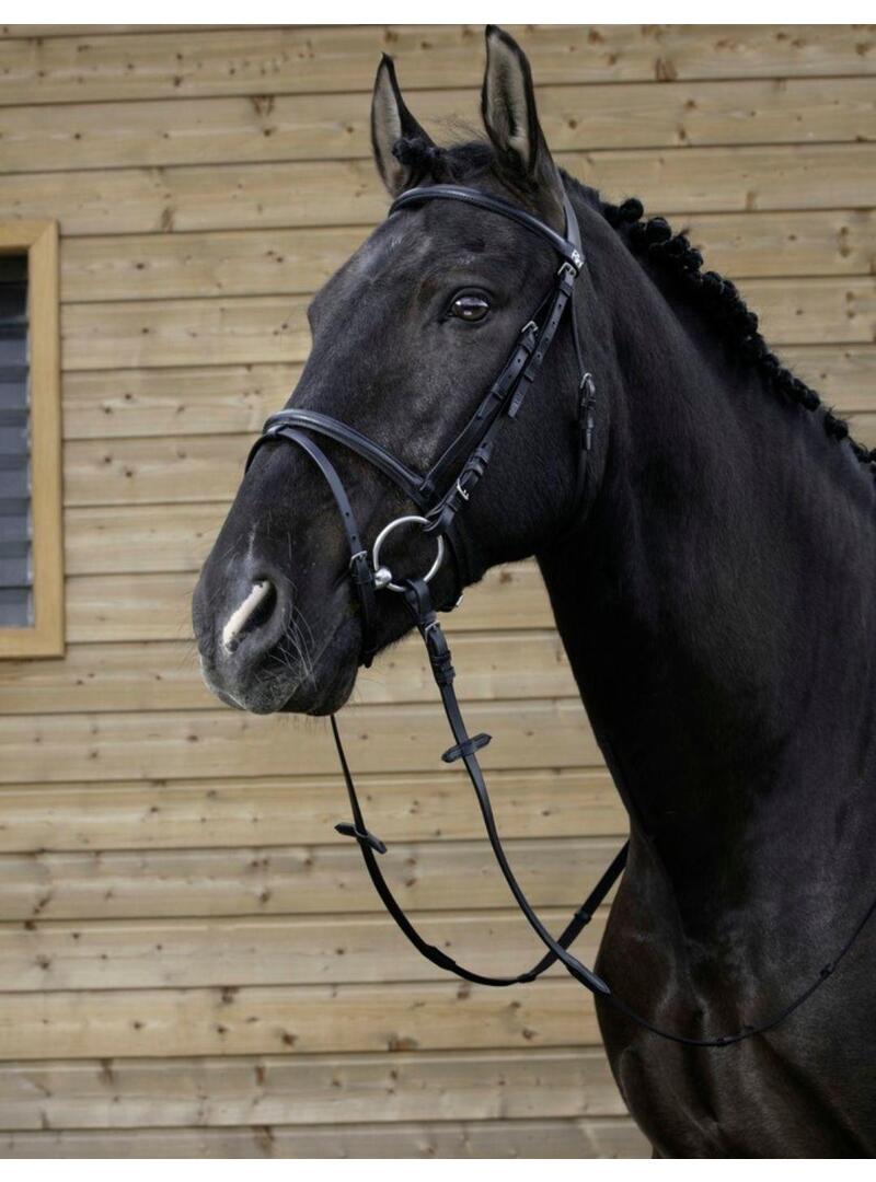 Cabeza RIDING WORLD'Muserolle Combinée' Negro - Riding World (2)