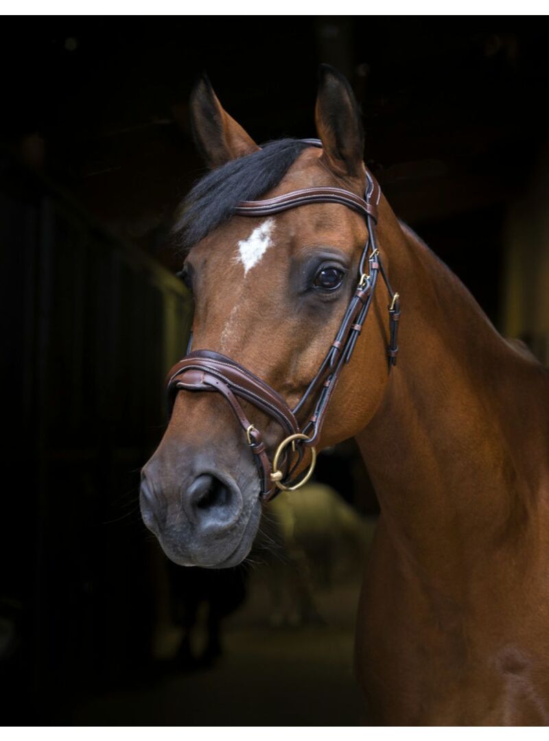 Cabezada de Montar Eric Thomas Pro “Design” Havana - Eric Thomas