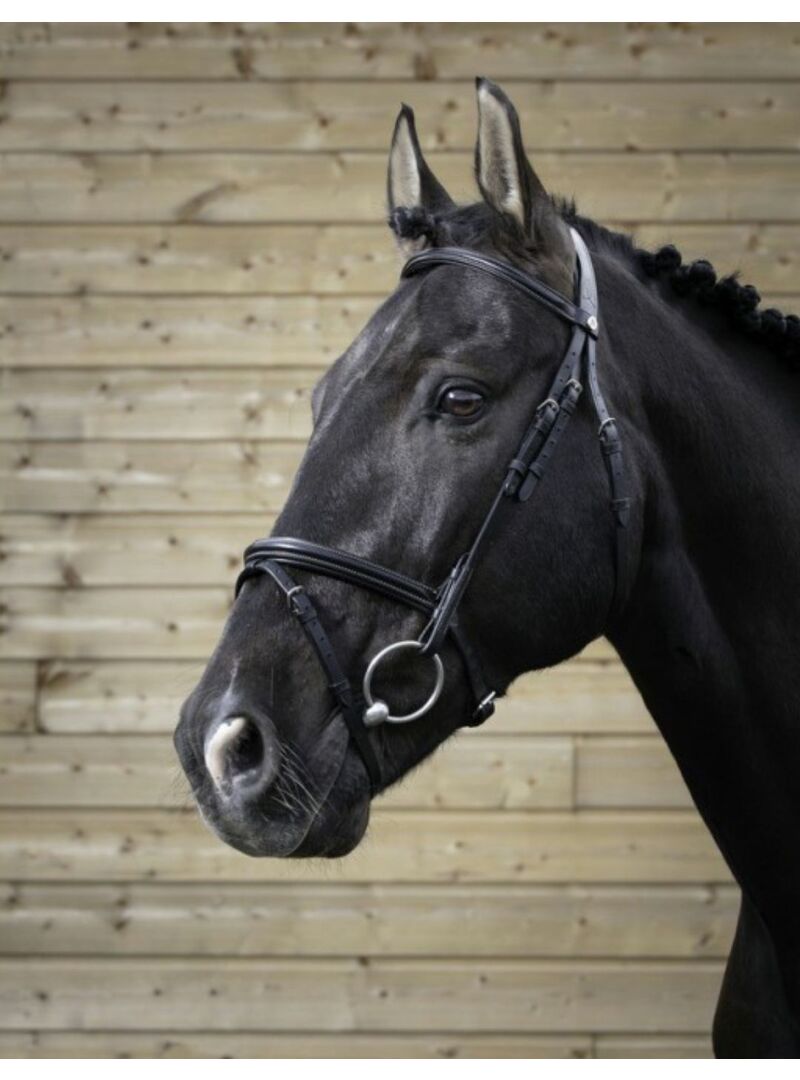 Cabezada de Montar Norton Pro “Fin” Negro - Norton
