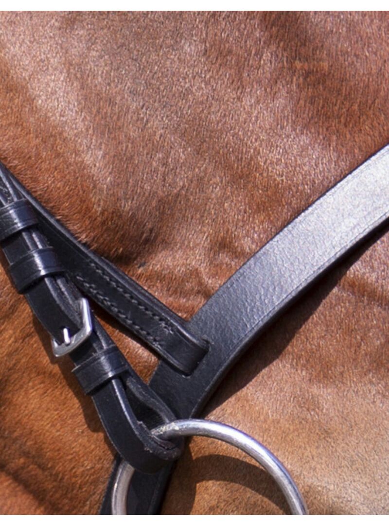 Cabezada de montar Riding World “Muserolle Francaise” Negro - Riding World (2)