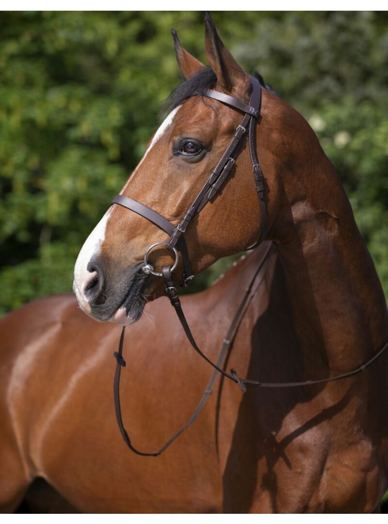Cabezada de montar Riding World “Muserolle Francaise” Negro - Riding World (4)