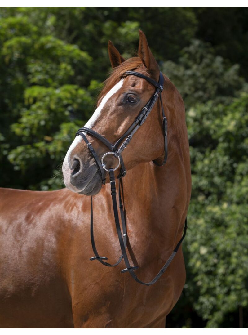 Cabezada de montar Riding World “Muserolle Combinée” Negro - Riding World (2)