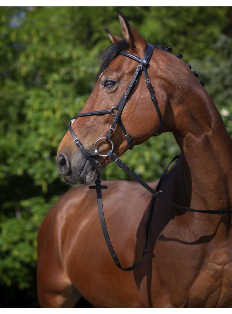 Cabezada de montar Riding World “Muserolle Croisée" Negro - Riding World