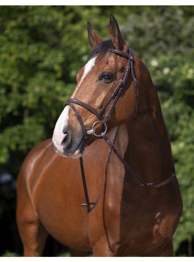 Cabezada de montar RIDING WORLD'Muserolle Combinée' Havana - Riding World