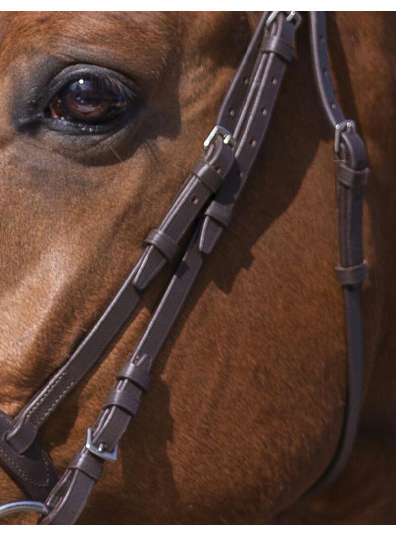 Cabezada de montar RIDING WORLD'Muserolle Combinée' Havana - Riding World (2)