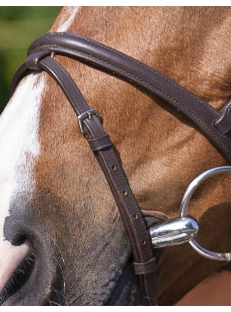 Cabezada de montar RIDING WORLD'Muserolle Combinée' Havana - Riding World (3)