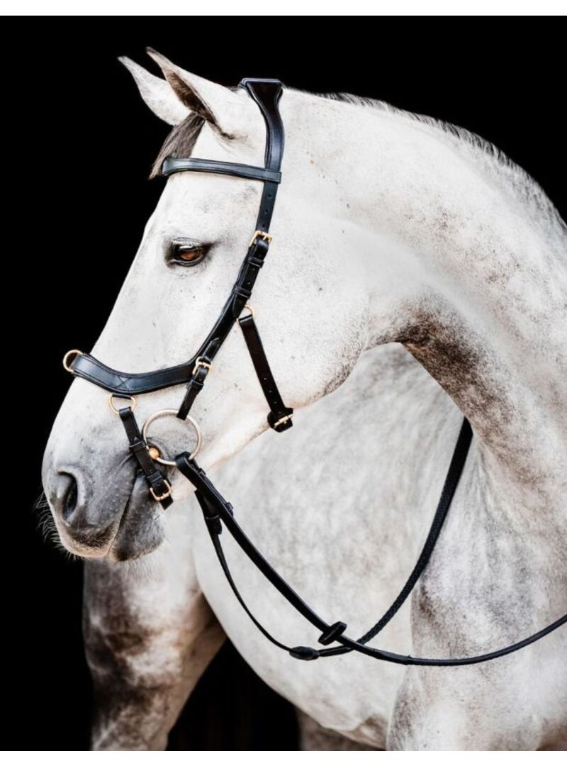 Cabezada Inglesa Horseware Micklem 2 Multibridle (Sin Riendas) Negro - Horseware (6)
