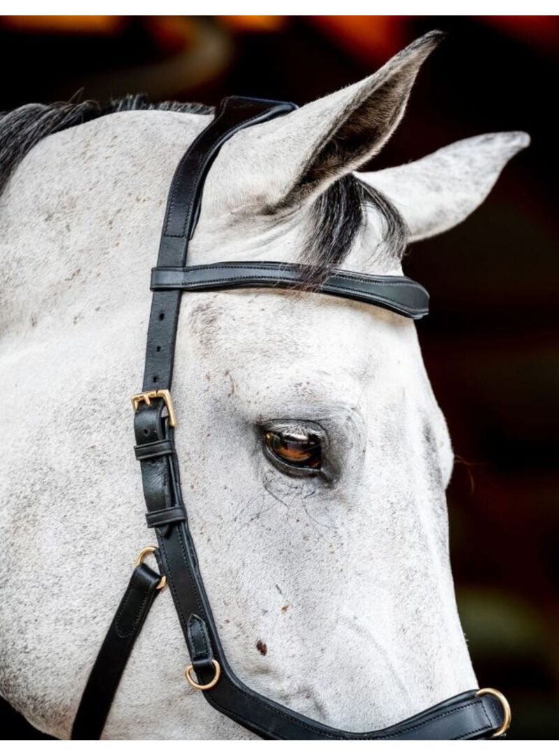 Cabezada Inglesa Horseware Micklem 2 Multibridle (Sin Riendas) Negro - Horseware (3)