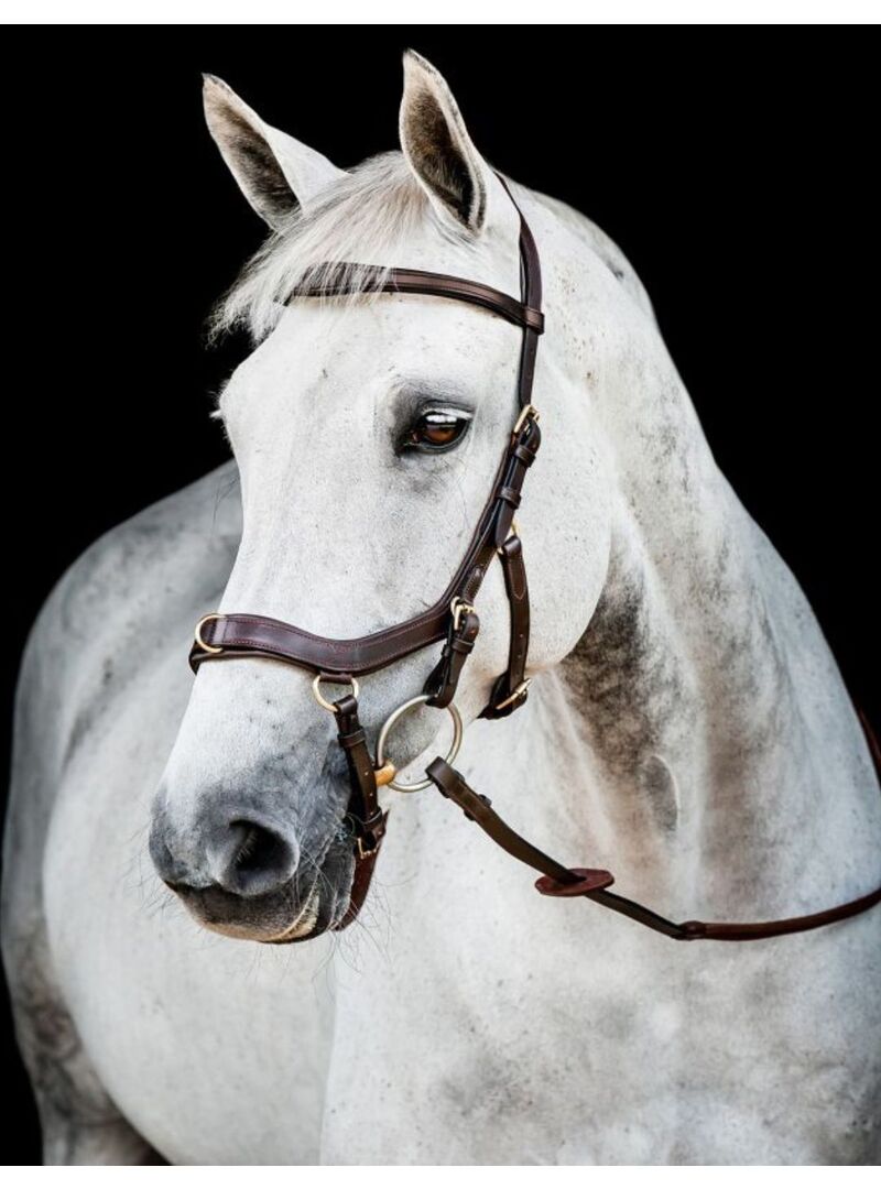 Cabezada Inglesa Horseware Micklem 2 Multibridle (Sin Riendas) Negro - Horseware (7)