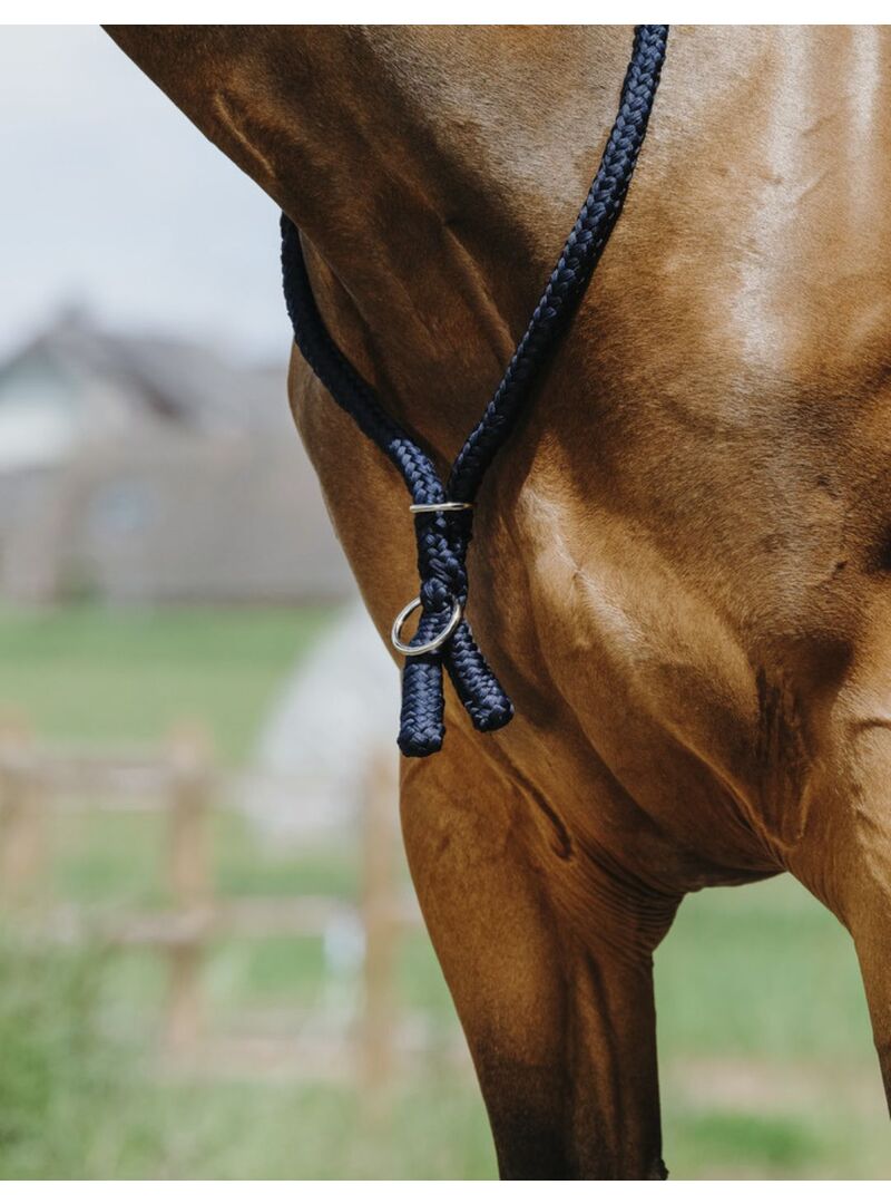 Collar Etológico Norton Marino - Norton (3)