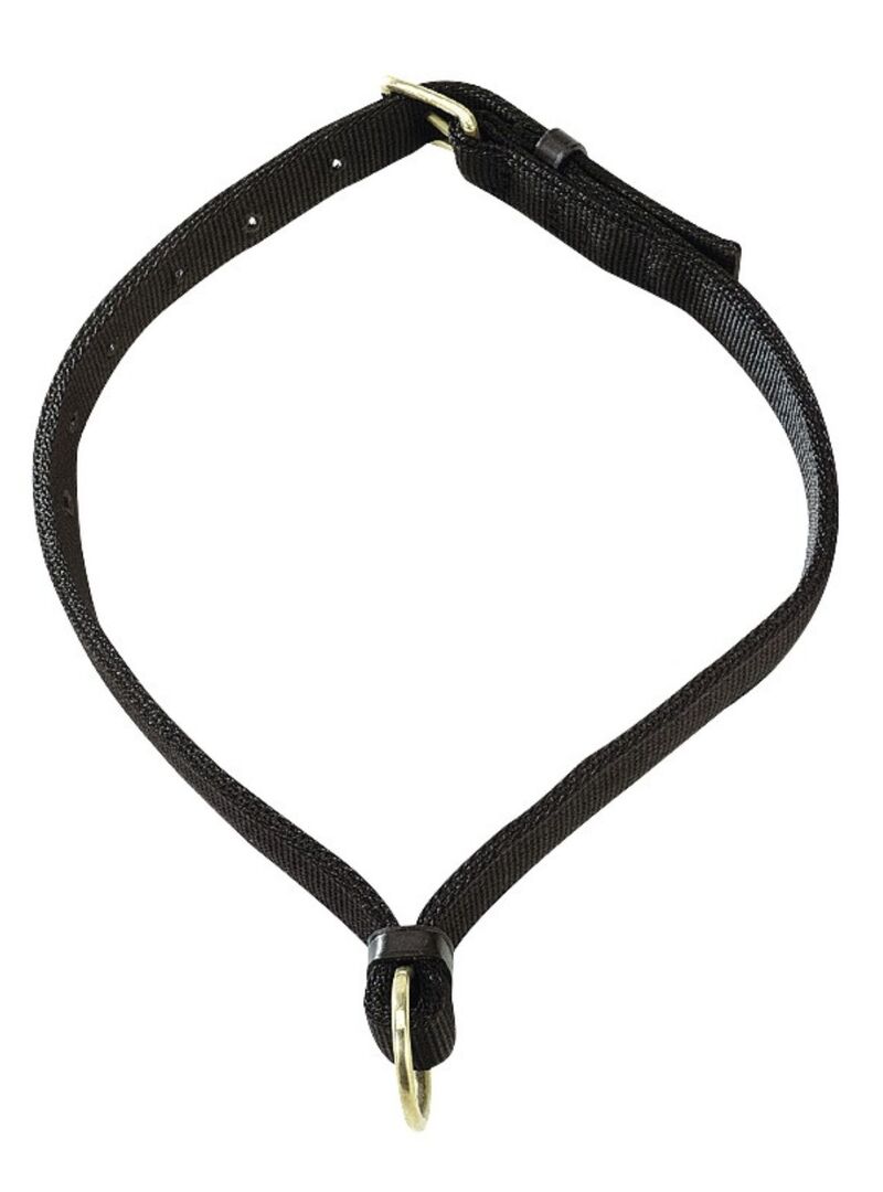 Collar para Caballos Norton Negro - Norton