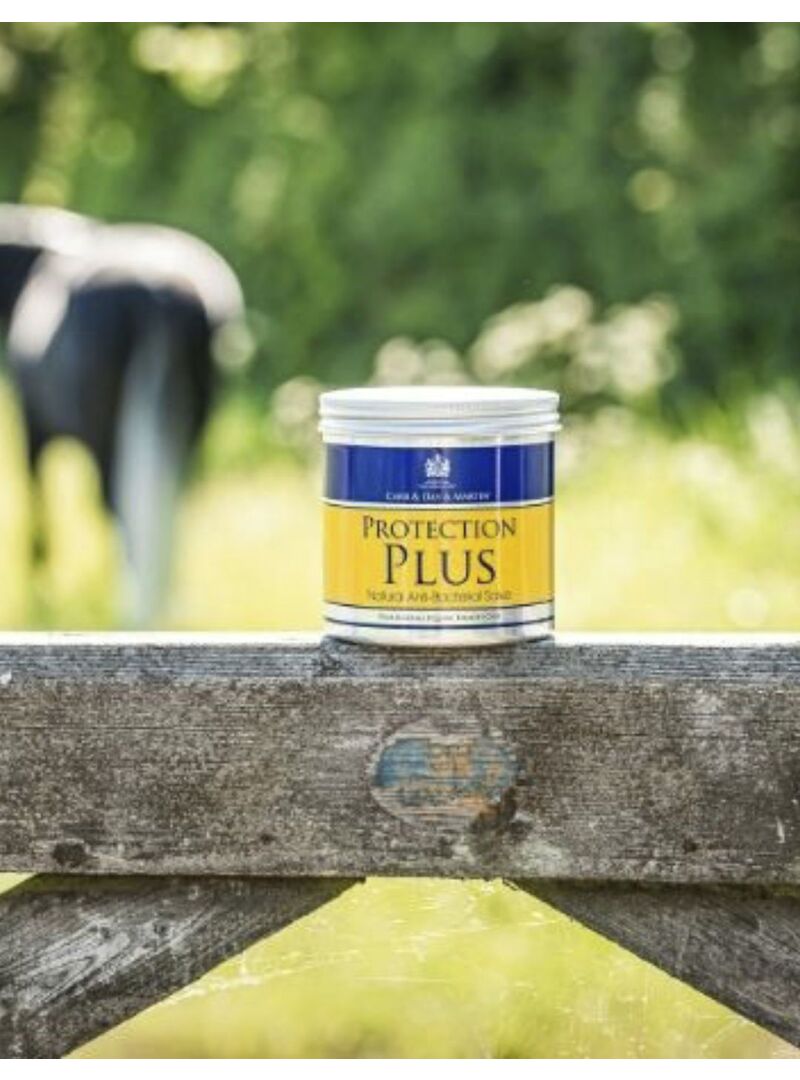 Crema Protectora Carr & Day & Martin - Carr & Day & Martin (2)