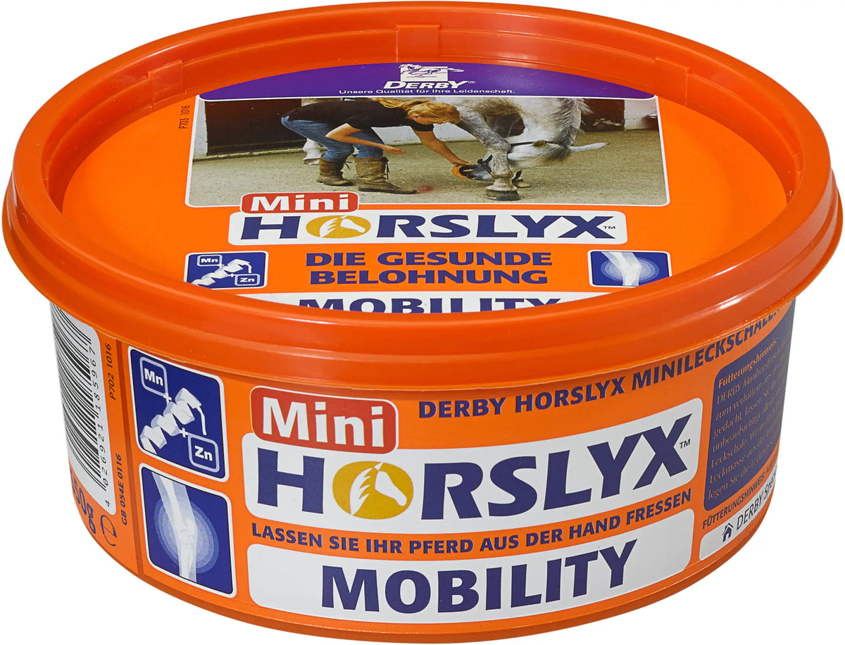 Accesorio ecuestre Horslyx 650g