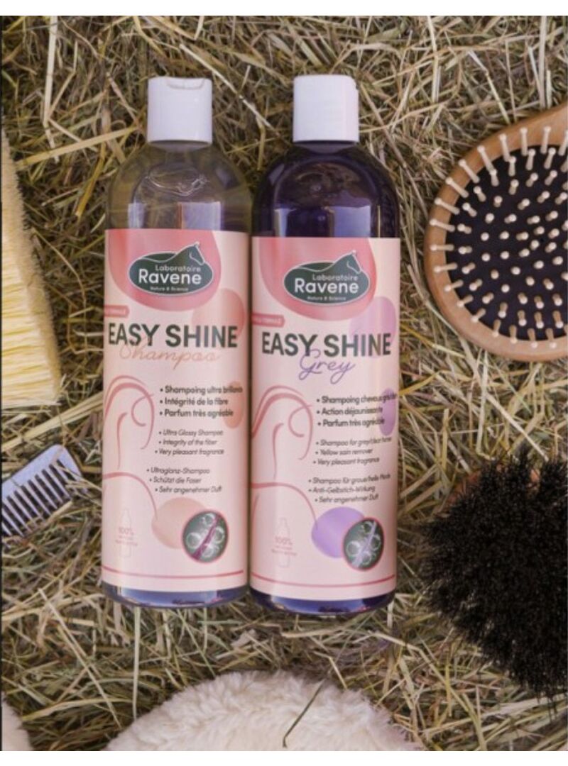 Easy Shine Grey Ravene Quita Manchas Amarillas - Ravene