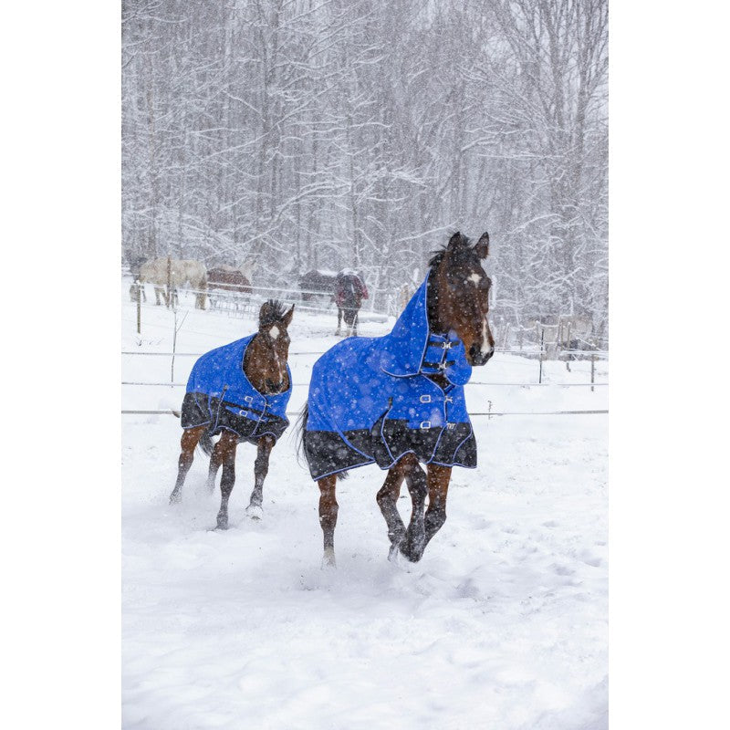 Manta para caballo Equi-Theme Tyrex 1200D Aisance High Neck manta