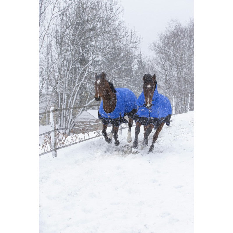 Manta para caballo Equi-Theme Tyrex 1200D Aisance High Neck manta