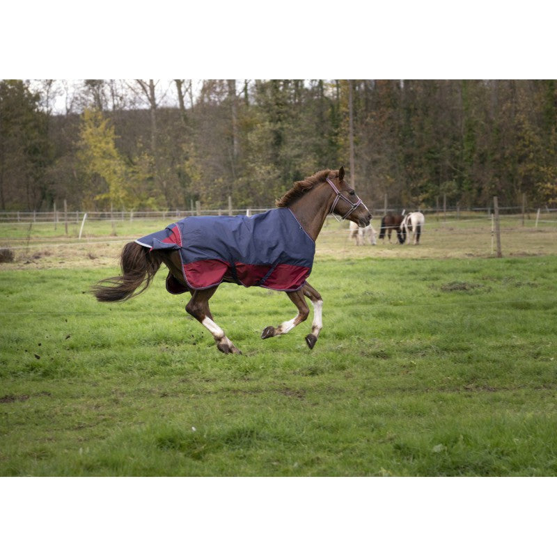 Manta de exterior Equi-Theme Tyrex 1200D