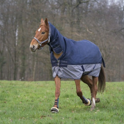 Manta de exterior combo Equi-Theme Tyrex 600D