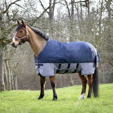Manta de exterior Equi-Theme Tyrex 600D con cincha ventral