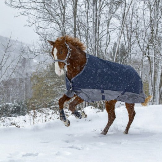 Manta de exterior Equi-Theme Tyrex 600D