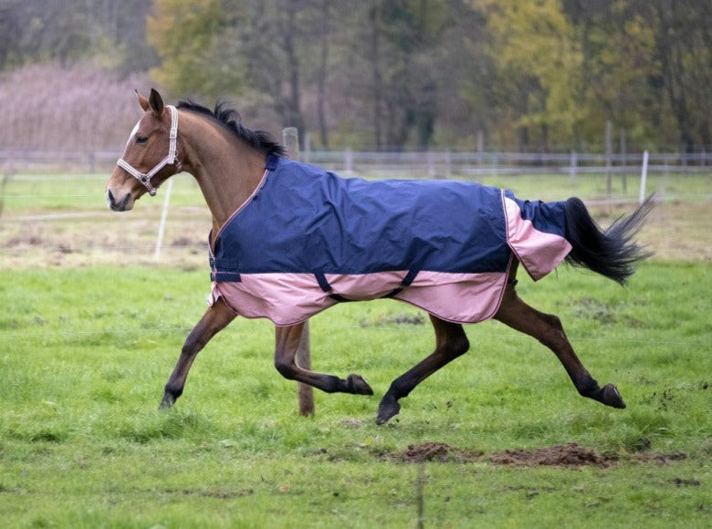 Manta de exterior Equi-Theme Tyrex 600D