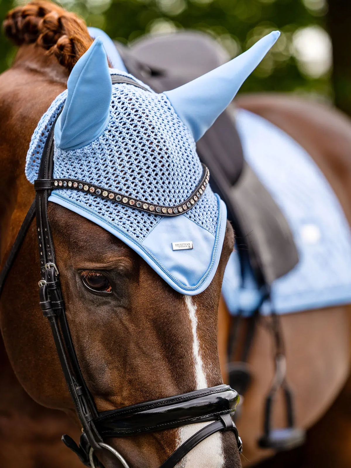 Orejeras Midsummer Blue - Equestrian Stockholm