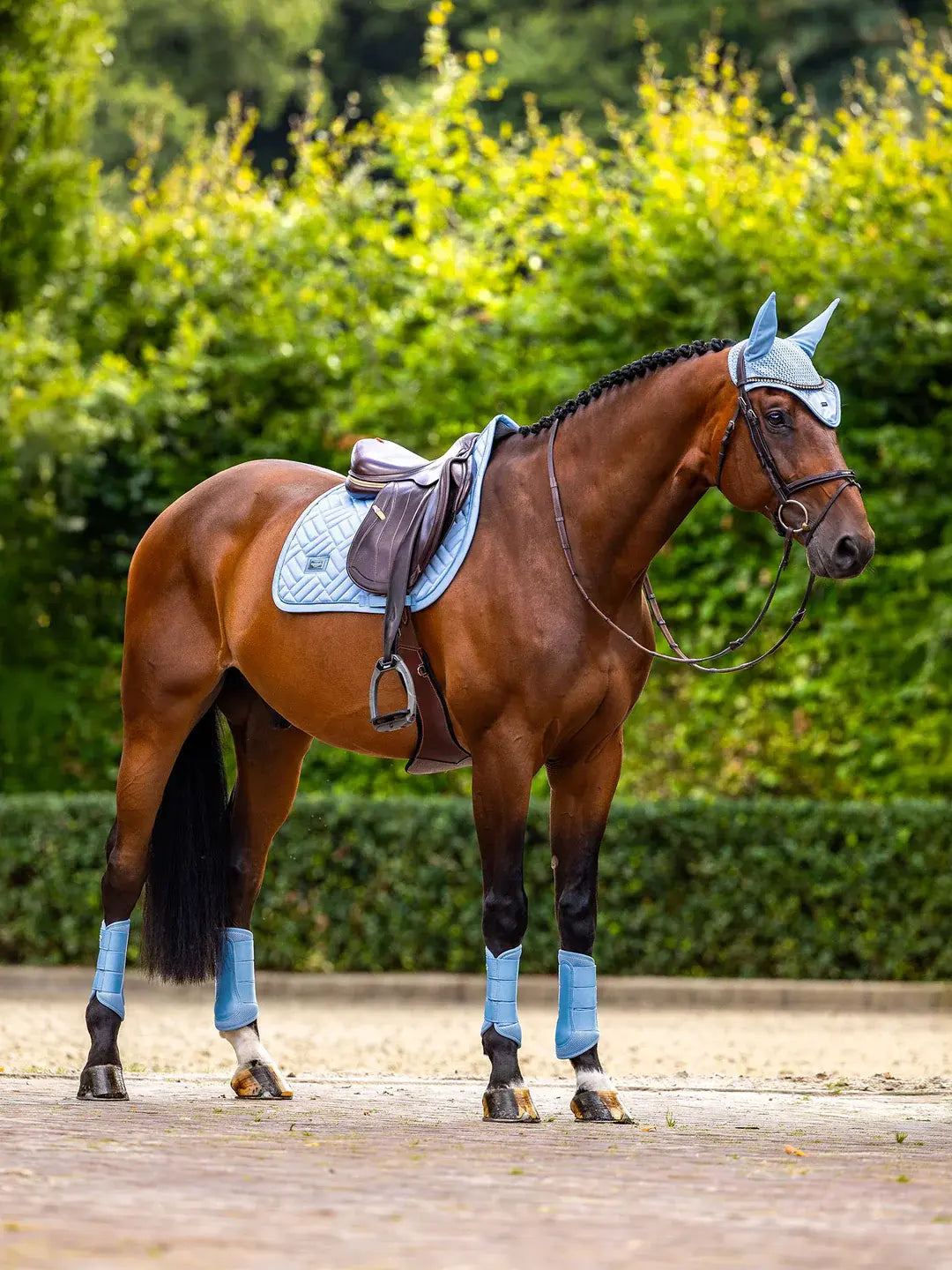 Orejeras Midsummer Blue - Equestrian Stockholm