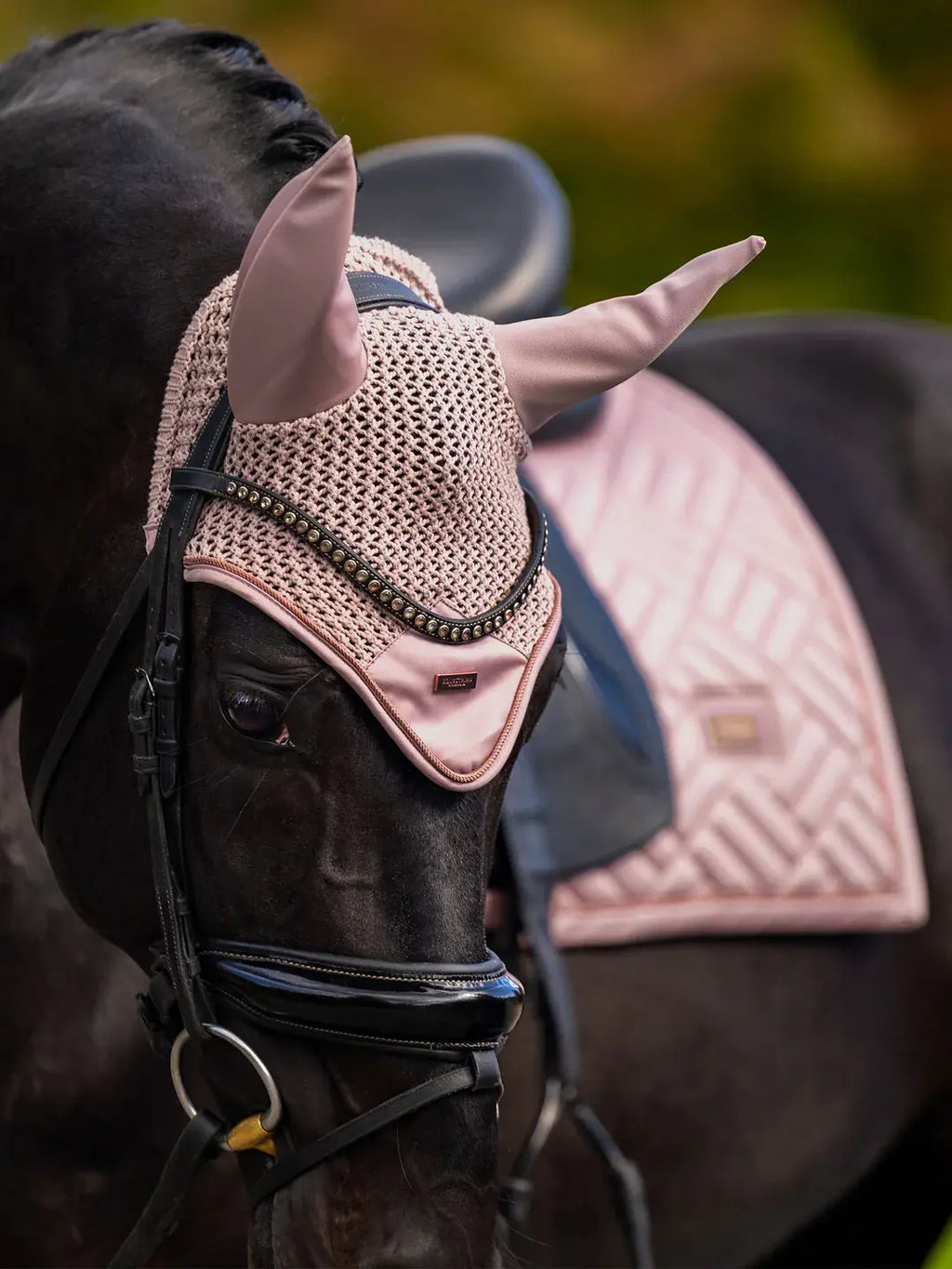 Orejeras Midsummer Blush - Equestrian Stockholm
