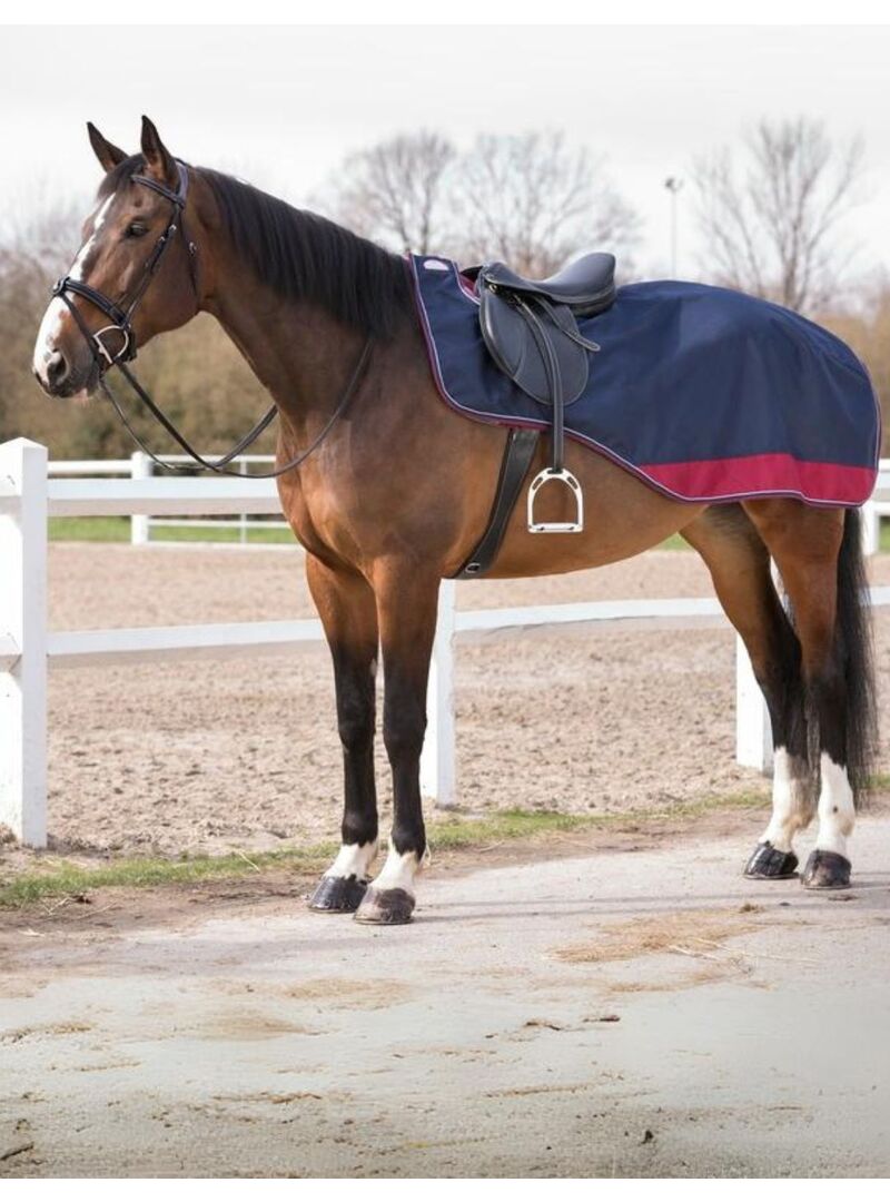 Manta Riñonera Equithème "Tyrex 1200 D" Marino/Burdeos - Equitheme