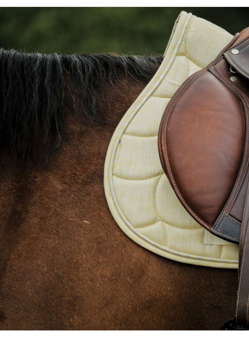 Mantilla Riding World “Sunshine” Amarillo - Riding World (3)