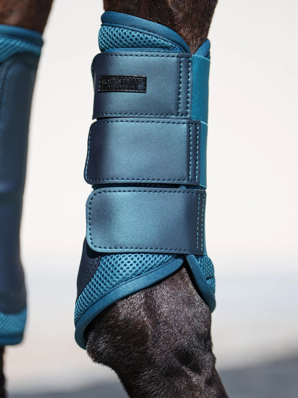 Protectores Doma Mesh Teal Blue Equestrian Estockholm