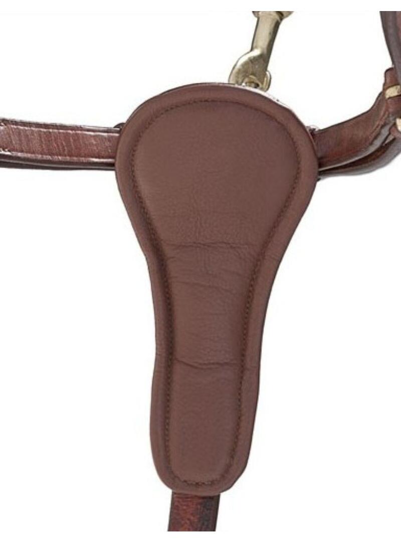 Pechopetral Inglés Lexhis Color Havana con Hebilla Dorada - Lexhis (2)