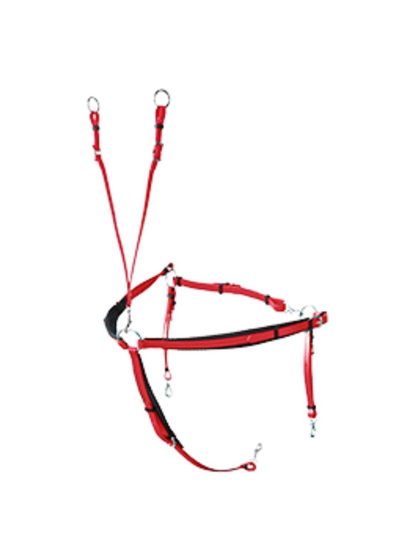 Pechopetral Raid Lexhis biothane Rojo - Lexhis