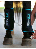 Protector Horseware Ice-Vibe (Set Completo) Tendon Negro - Horseware