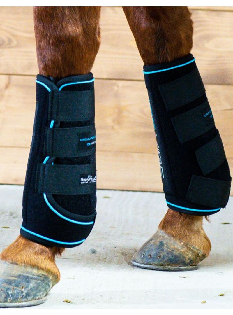Protector Horseware Ice-Vibe (Set Completo) Tendon Negro - Horseware (2)