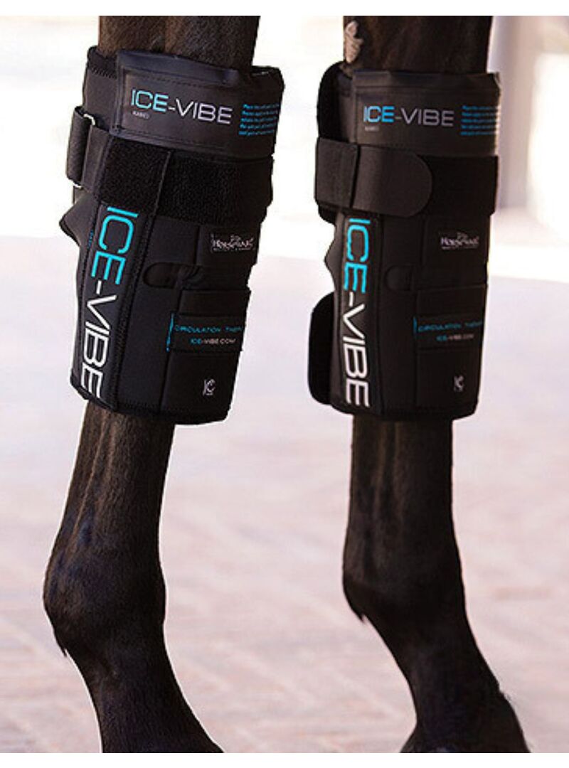 Protector Horseware Ice-Vibe (Set Completo) Rodilla Negro - Horseware