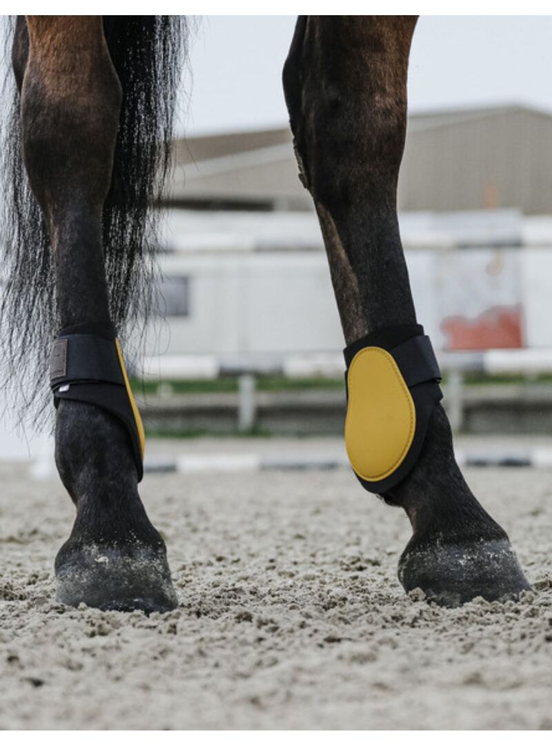 Protectores de Menudillo Equithème “Tara” Oro - Equitheme (2)