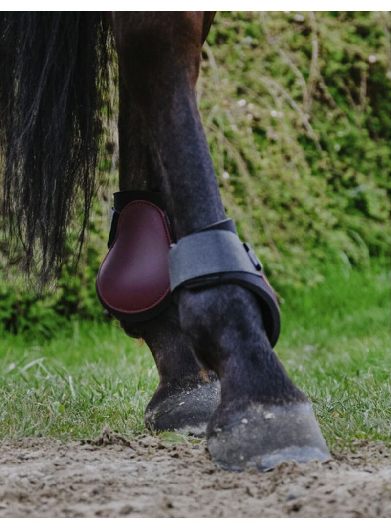 Protectores de Menudillo Riding World Burdeos - Riding World (2)