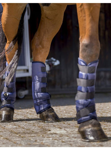 Protectores de Transporte Bajos Riding World Marino - Riding World