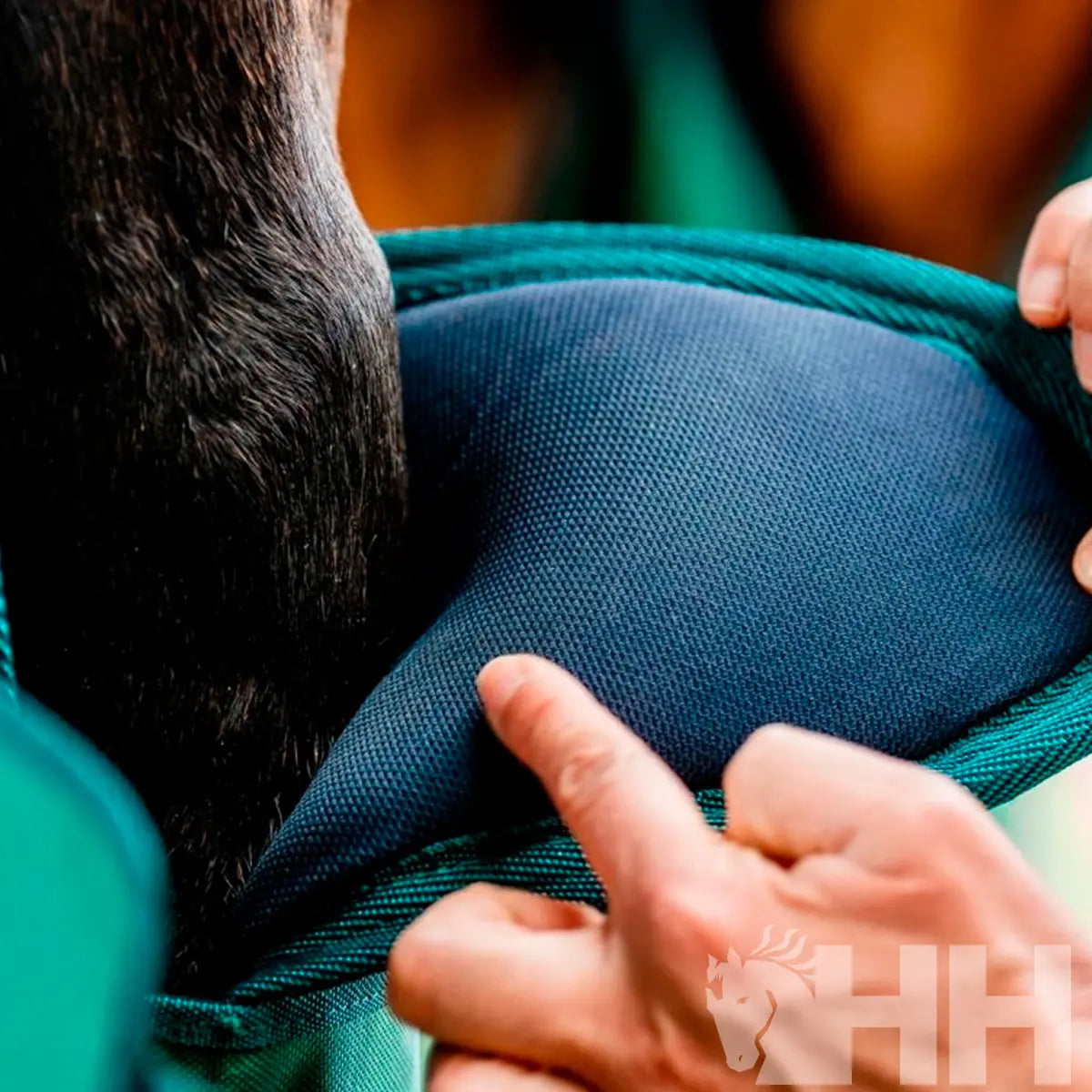 Protector transporte Horseware Signature (PAR) Hispano Hípica