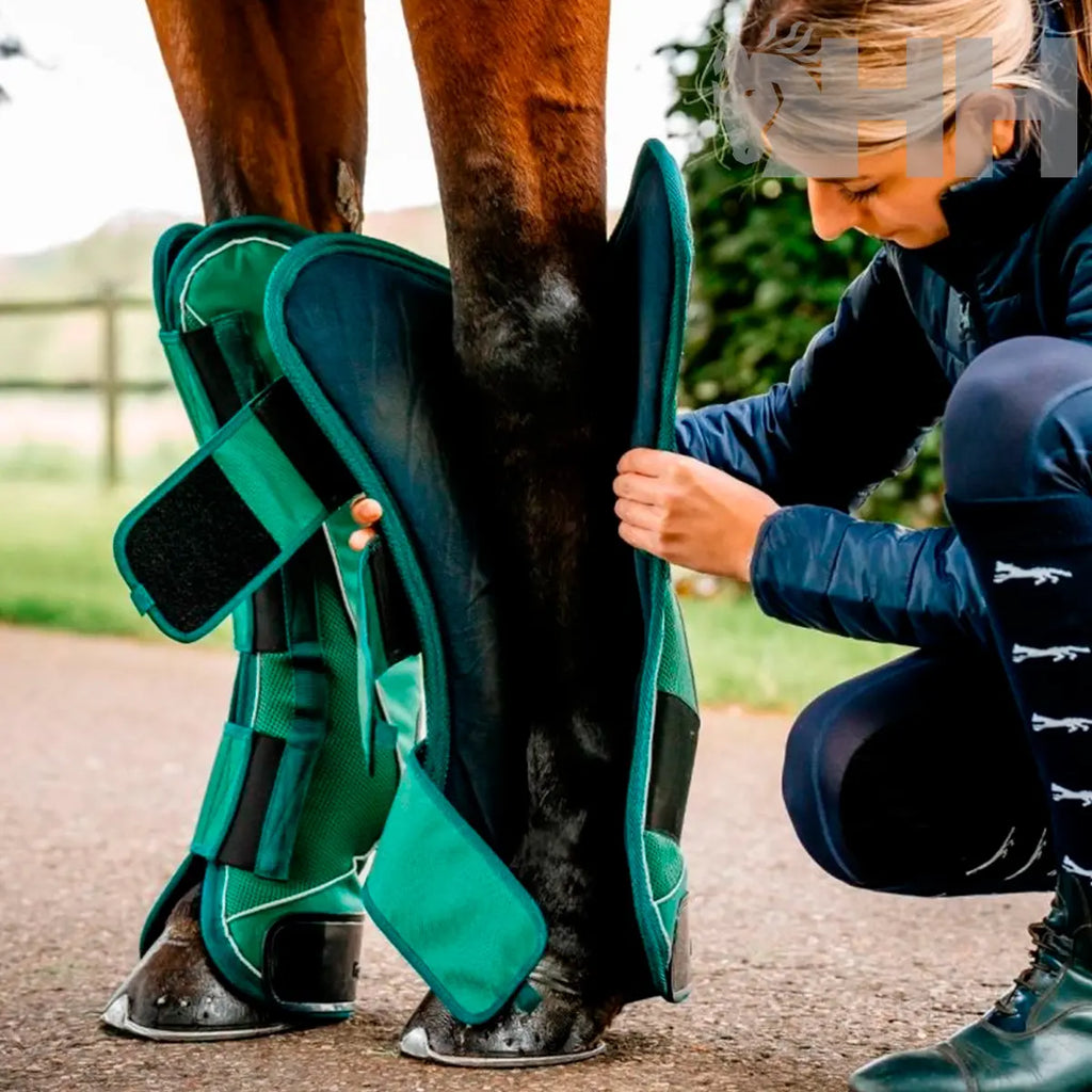 Protector transporte Horseware Signature (PAR) Hispano Hípica