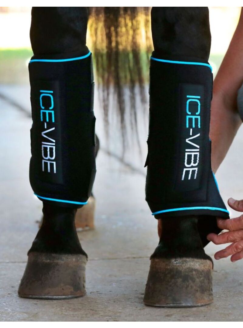 Repuesto Compresa Frio Protector Horseware Ice-Vibe Tendon (Par) Negro - Horseware (2)
