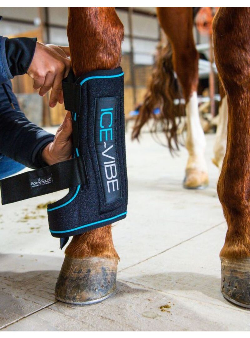 Repuesto Compresa Frio Protector Horseware Ice-Vibe Tendon (Par) Negro - Horseware (4)