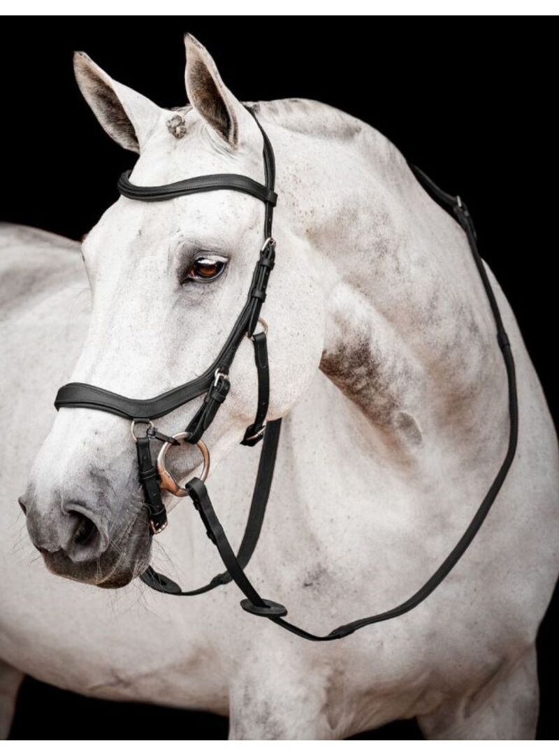 Riendas Horseware Micklem Competition Bridle Negro - Horseware